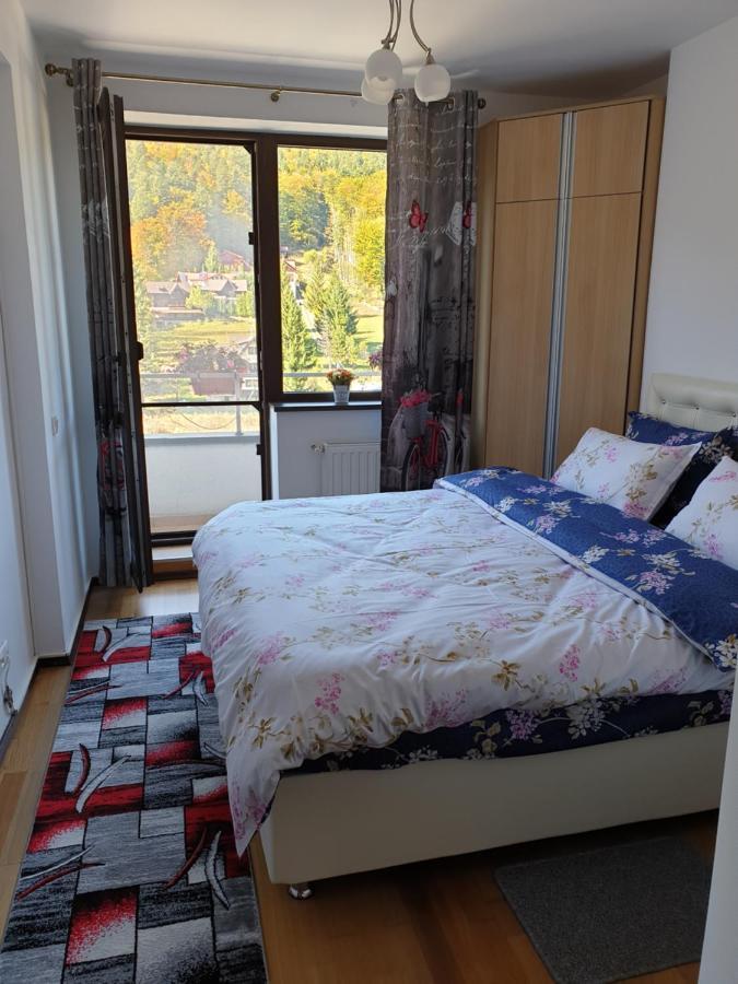Sophie Apartament Sinaia Exterior photo