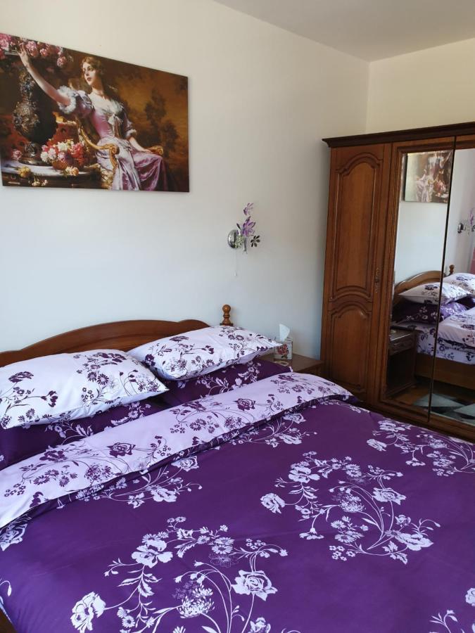 Sophie Apartament Sinaia Exterior photo