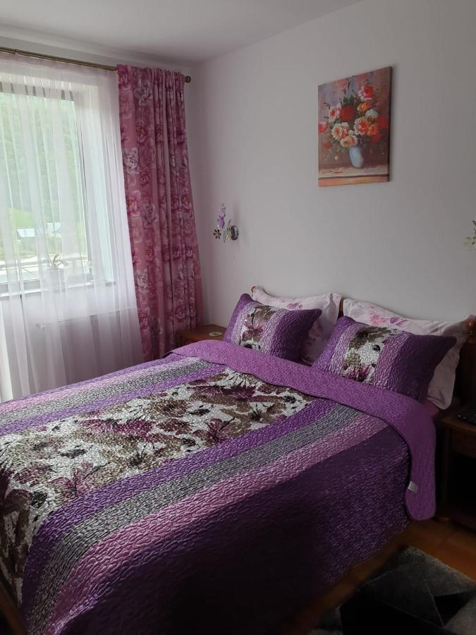 Sophie Apartament Sinaia Exterior photo