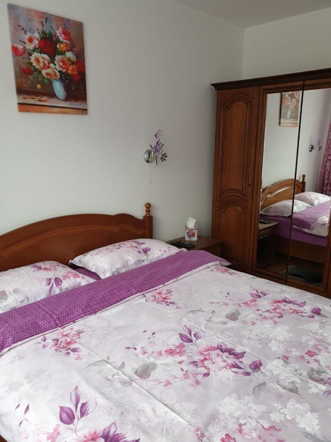 Sophie Apartament Sinaia Exterior photo