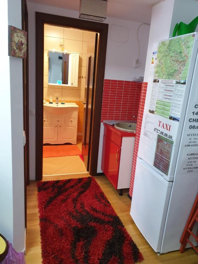 Sophie Apartament Sinaia Exterior photo