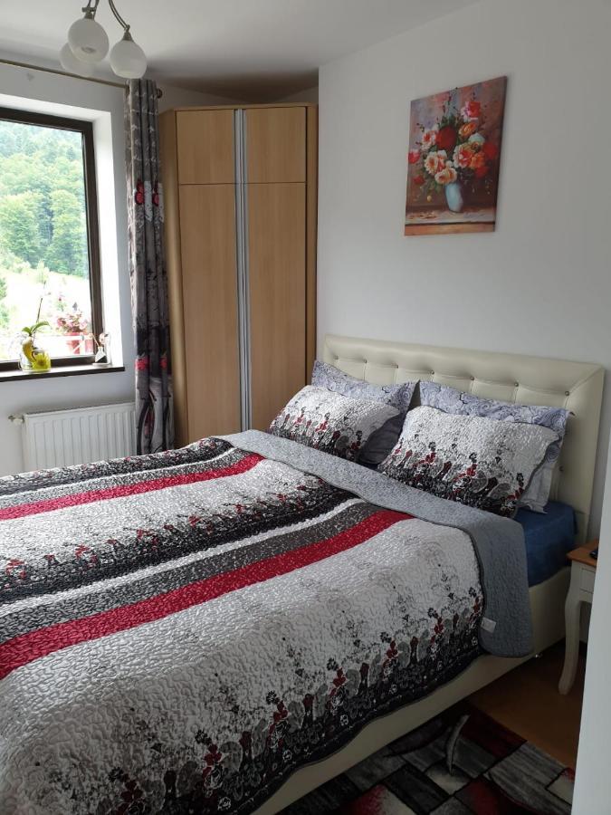 Sophie Apartament Sinaia Exterior photo