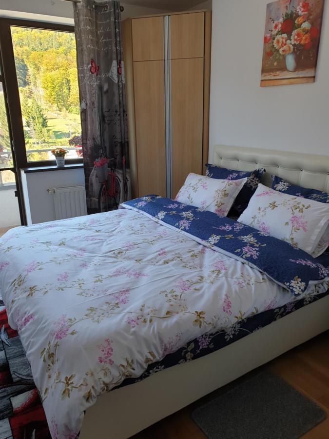Sophie Apartament Sinaia Exterior photo