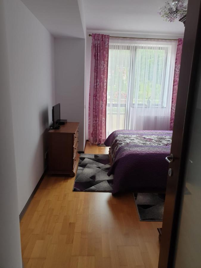 Sophie Apartament Sinaia Exterior photo