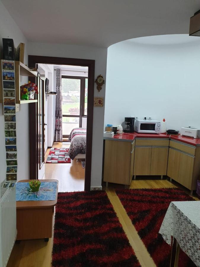 Sophie Apartament Sinaia Exterior photo