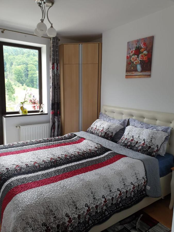 Sophie Apartament Sinaia Exterior photo