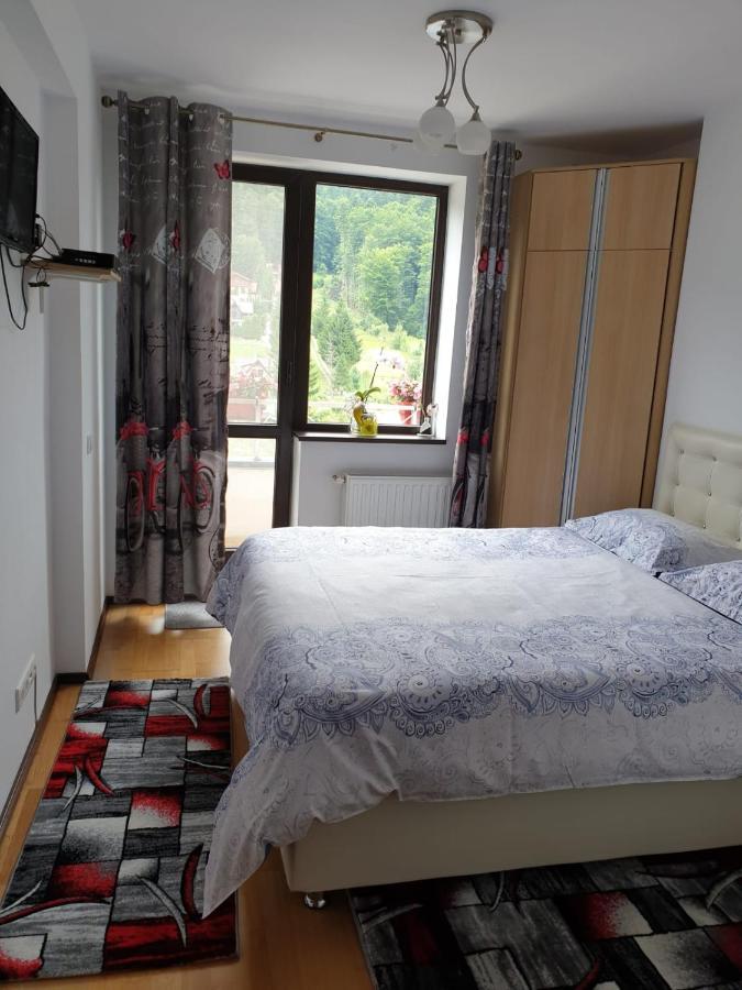 Sophie Apartament Sinaia Exterior photo