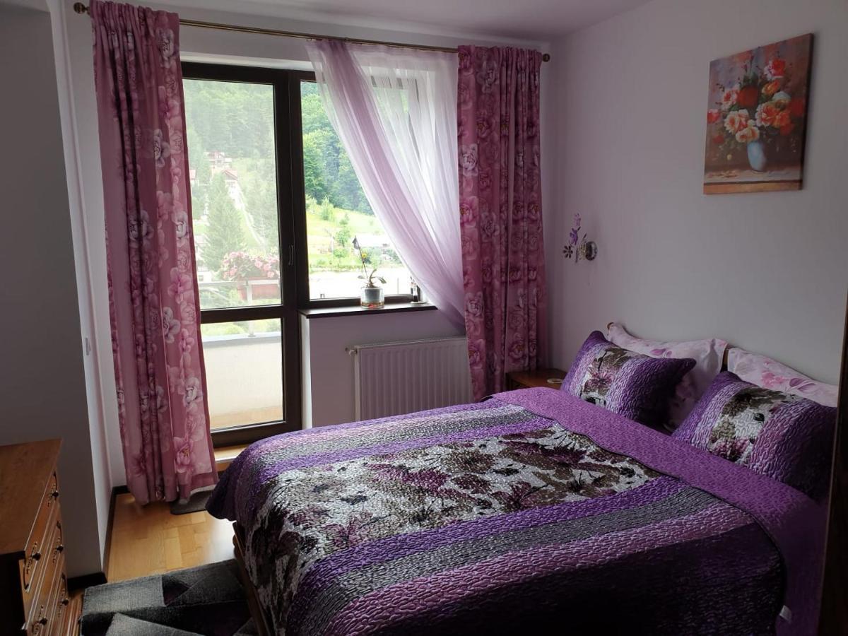 Sophie Apartament Sinaia Exterior photo