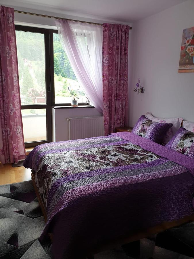 Sophie Apartament Sinaia Exterior photo